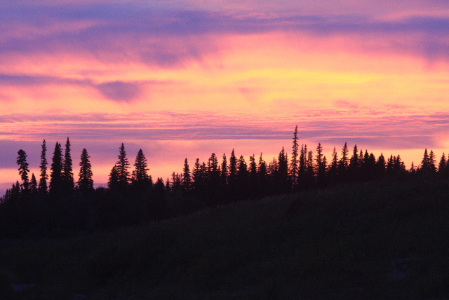 Miss0105.JPG (91k bytes)